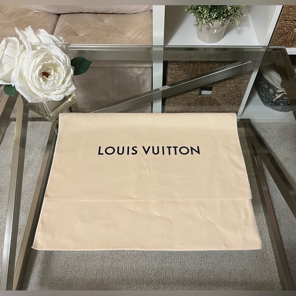 Large Louis Vuitton Dust Bag - Picture 1 of 8